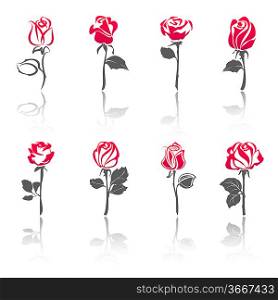 Roses, set icons with reflection