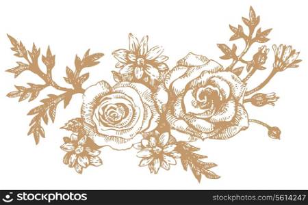 Roses.&#xA;Hand-drawn illustrations