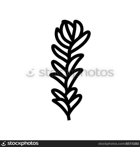 rotala rotundifolia seaweed line icon vector. rotala rotundifolia seaweed sign. isolated contour symbol black illustration. rotala rotundifolia seaweed line icon vector illustration