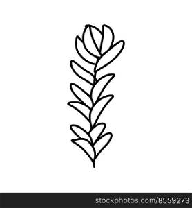 rotala rotundifolia seaweed line icon vector. rotala rotundifolia seaweed sign. isolated contour symbol black illustration. rotala rotundifolia seaweed line icon vector illustration