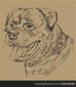 Rottweiler vector hand drawing black and white illustration isolated on beige background