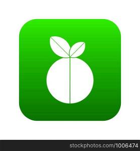 Round apple icon digital green for any design isolated on white vector illustration. Round apple icon digital green