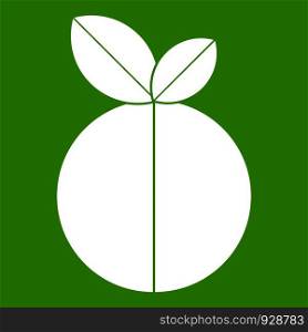 Round apple icon white isolated on green background. Vector illustration. Round apple icon green