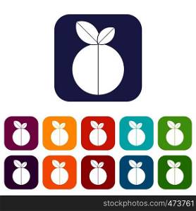 Round apple icons set vector illustration in flat style In colors red, blue, green and other. Round apple icons set flat