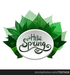 Round badge with Handwritten Lettering Hello, Spring with decoration and green leaves. The object is separate from the background. Vector element for banners, buttons, brochures and for your design. Round badge with Handwritten Lettering Hello, Spring with decoration and green leaves.