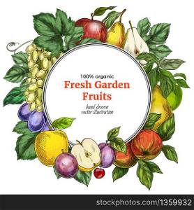 Round banner template. Garden fruits, colored hand drawn vector illustrations.