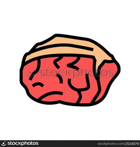 round beef meat color icon vector. round beef meat sign. isolated symbol illustration. round beef meat color icon vector illustration
