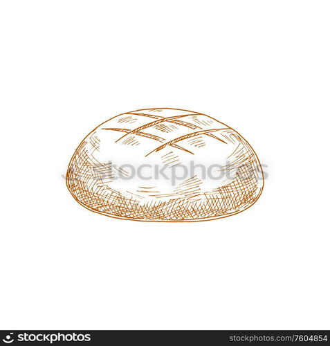 Round brown bread bun isolated hand drawn sketch. Vector rye loaf, baked pastry food. Bread loaf sketch bakery of rye dough, pastry food