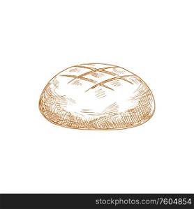 Round brown bread bun isolated hand drawn sketch. Vector rye loaf, baked pastry food. Bread loaf sketch bakery of rye dough, pastry food