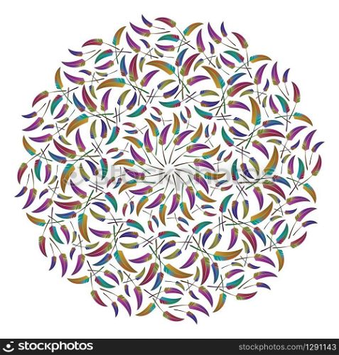 Round ethnic ornament with colorful feathers isolated on white background. Vector illustration. Round feather ethnic ornament