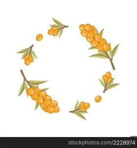 Round frame made of sea buckthorn twigs. Flower frame for photo decoration. Place under the photo or caption. Making an invitation card for a wedding.