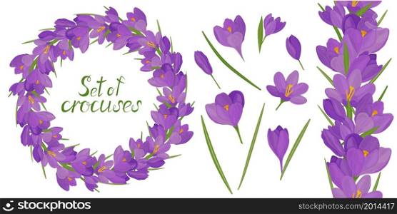 Round frame with beautiful yellow and lilac crocuses. Vector set of flower elements. Colorful image.