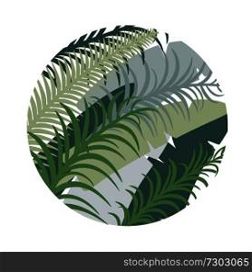 Round tropical background with palm leaves. Vector image. Eps 10