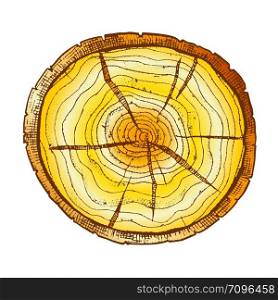 Round Wooden Cross Section With Tree Rings Vector. Circle Cracked Tree Hardwood Trunk Element Log Stump Timber. Carpentry Material Monochrome Color Hand Drawn Illustration. Color Round Wooden Cross Section With Tree Rings Vector