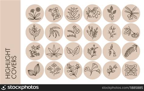 Rounded highlights covers with flowers and herbs, isolated foliage and ornaments in circles. Romantic simple decoration, spring or summer vibes. Badges with blossom and flora, vector in flat. Highlights covers floral ornaments, herbs and flowers in circles