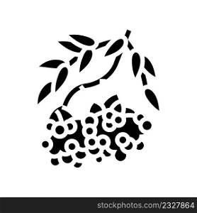 rowan berry glyph icon vector. rowan berry sign. isolated contour symbol black illustration. rowan berry glyph icon vector illustration