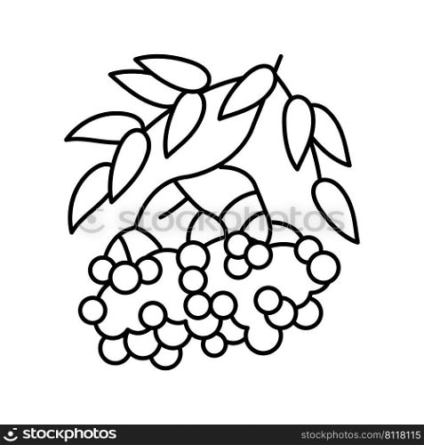rowan berry line icon vector. rowan berry sign. isolated contour symbol black illustration. rowan berry line icon vector illustration
