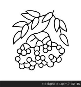 rowan berry line icon vector. rowan berry sign. isolated contour symbol black illustration. rowan berry line icon vector illustration