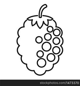 Rowan blackberry icon. Outline rowan blackberry vector icon for web design isolated on white background. Rowan blackberry icon, outline style