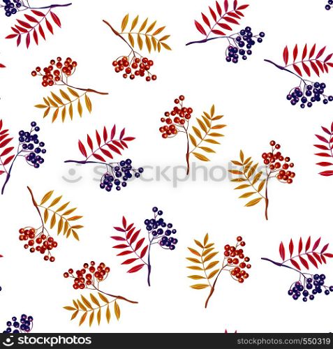 Rowan branches and rowanberry seamless vector pattern on the white background