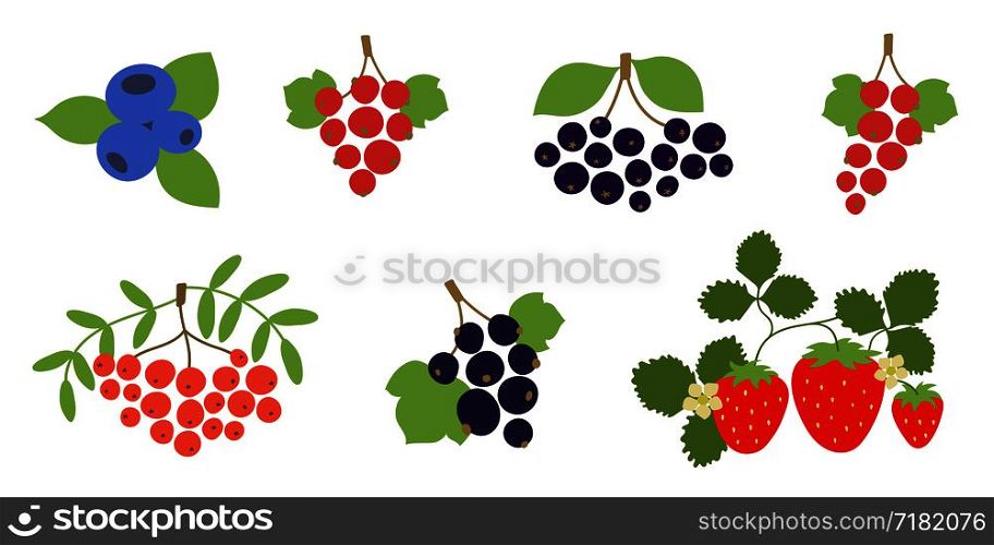 Rowan, currant, mountain ash, viburnum, blueberry, black chokeberry, strawberry, red and black currants. Vector berries set. Natural healthy food. Hand drawn fruit. Vegan menu. Vegetarianism