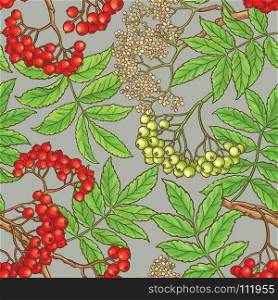 rowan vector pattern. rowan branches vector pattern on color background