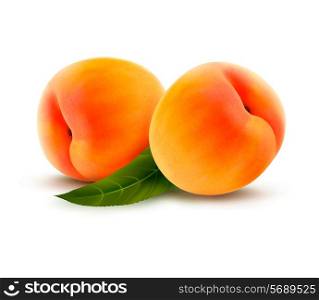 Rpe peach isolated on white. Vector illustration
