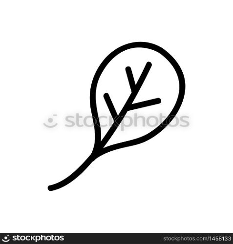 rucolla leaf icon vector. rucolla leaf sign. isolated contour symbol illustration. rucolla leaf icon vector outline illustration