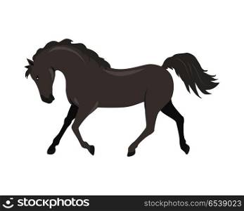 Running black horse flat style vector. Domestic animal. Country inhabitants concept. Illustration for farming, animal husbandry, horse sport companies. Agricultural species. Isolated on white. Horse Vector Illustration in Flat Design. Horse Vector Illustration in Flat Design