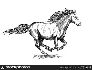 Running gallop white horse sketch portrait. Vector mustang stallion freely rushing against wind with waving mane and tail. Running gallop white horse sketch portrait