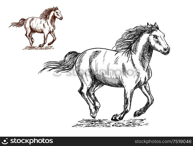 Running horses pencil sketch portrait. Brown and white mustang stallions with freedom gallop gait. Running horses pencil sketch portrait