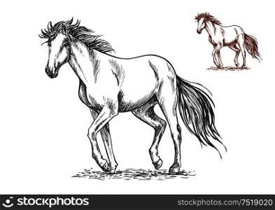 Running white horse pencil sketch portrait. Mustang with stamping hoofs gait and wavy tail on lawn. Running white horse sketch portrait
