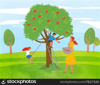 Rural area vector, farming woman with basket picking apples in garden. Playing kids family leisure, daughter and son of mother smiling character working. Pick apples concept. Flat cartoon. Apple Tree Woman Picking Fruits Kid Playing Vector