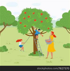 Rural area vector, farming woman with basket picking apples in garden. Playing kids family leisure,daughter and son of mother smiling character working. Pick apples concept. Flat cartoon. Apple Tree Woman Picking Fruits Kid Playing Vector