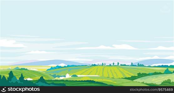 Rural landscape with agricultural fields on hills vector image