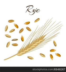 Rye ear and grains. Rye ear and grains. Vector illustration eps 10