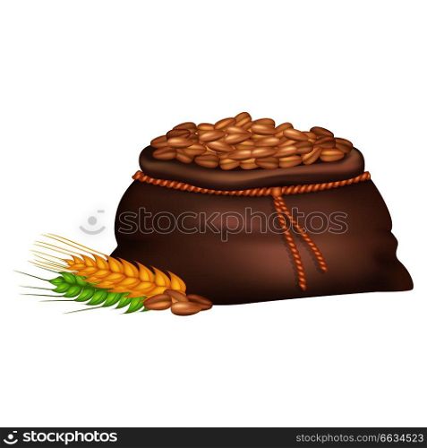 Rye grains in open sack near wheat and millet ears isolated on white vector illustration in flat design. Harvest of crops template. Rye in Sack near Wheat and Millet Ears on White