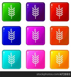 Rye spica icons of 9 color set isolated vector illustration. Rye spica icons 9 set