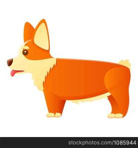 Sad corgi dog icon. Cartoon of sad corgi dog vector icon for web design isolated on white background. Sad corgi dog icon, cartoon style