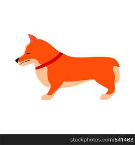 Sad dog. Welsh Corgi. Flat vector illustration. Sad dog. Welsh Corgi. Flat illustration vector .