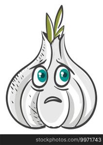 Sad garlic, illustration, vector on white background