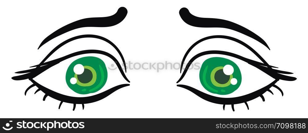 Sad green eyes, illustration, vector on white background.