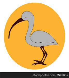 Sad ibis, illustration, vector on white background.
