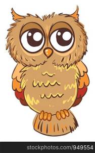 Sad owl illustration vector on white background