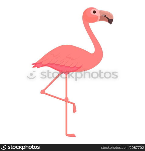 Safari flamingo icon cartoon vector. Zoo flamingo. Summer pink bird. Safari flamingo icon cartoon vector. Zoo flamingo