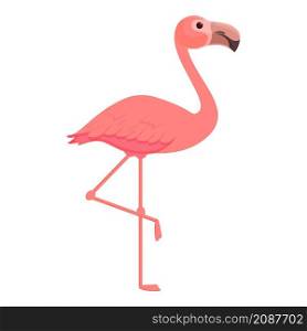 Safari flamingo icon cartoon vector. Zoo flamingo. Summer pink bird. Safari flamingo icon cartoon vector. Zoo flamingo