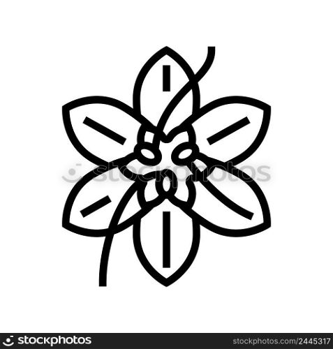 saffron flower bud line icon vector. saffron flower bud sign. isolated contour symbol black illustration. saffron flower bud line icon vector illustration