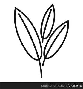 Sage herb icon outline vector. Smudge mint. Leaf plant. Sage herb icon outline vector. Smudge mint