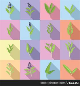 Sage icons set flat vector. Flower leaf. Garden health. Sage icons set flat vector. Flower leaf