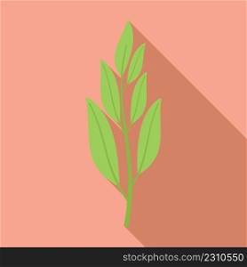 Sage leaf icon flat vector. Herb flower. Tea mint. Sage leaf icon flat vector. Herb flower
